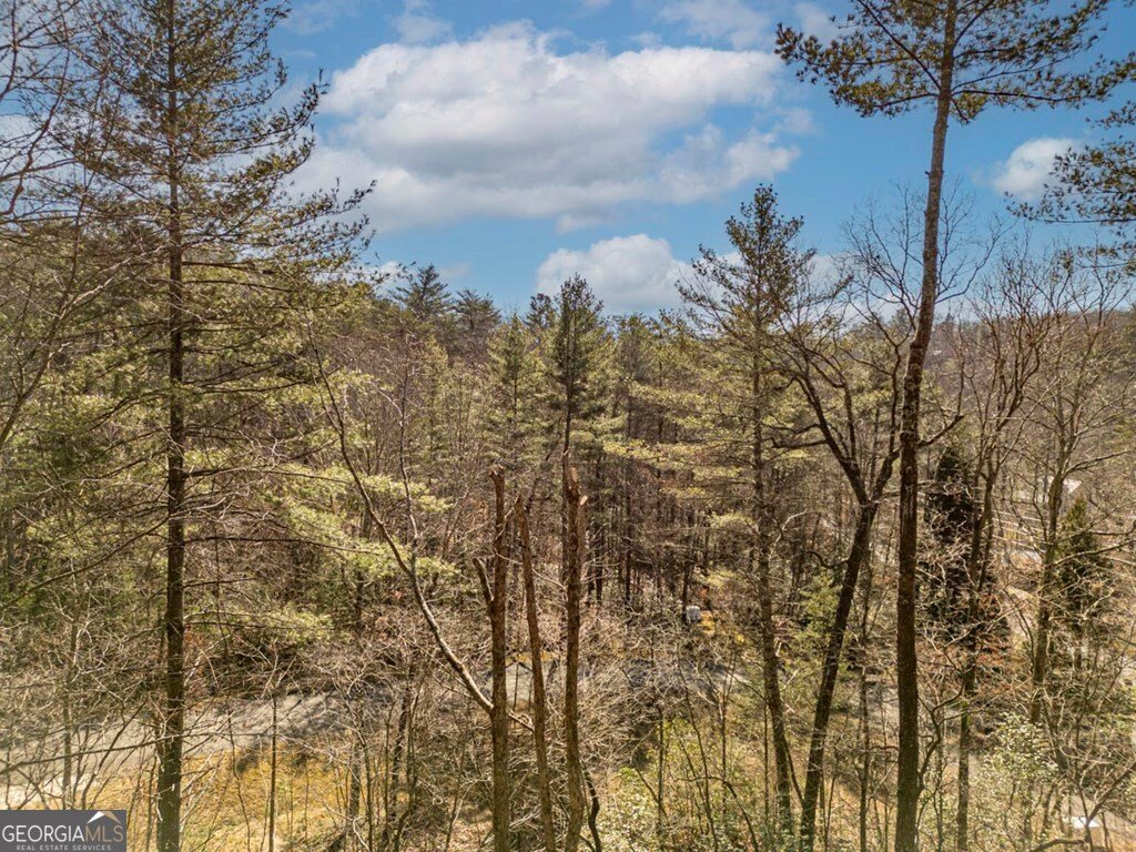 35 Leatherwood Mtn Road Cherry Log - 57