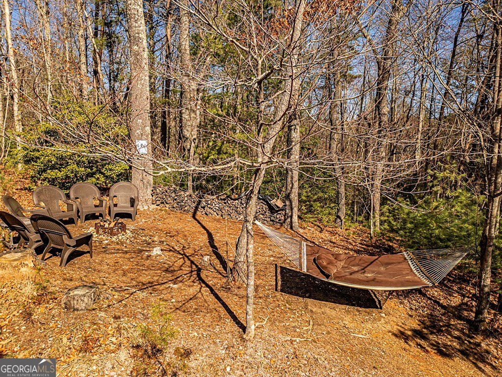 35 Leatherwood Mtn Road Cherry Log - 58