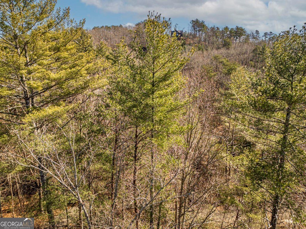 35 Leatherwood Mtn Road Cherry Log - 59