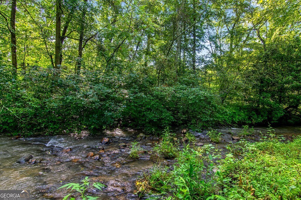 108 Red Hawk Trail Ellijay - 20