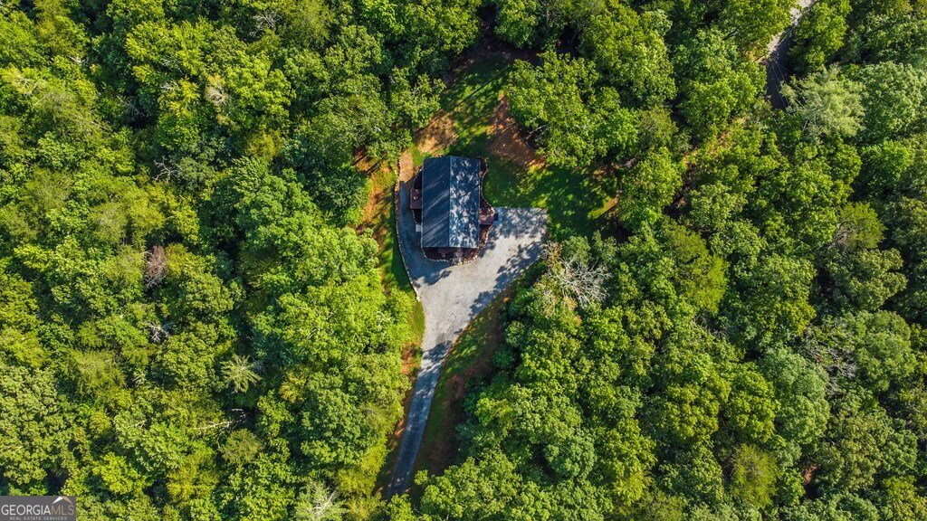 108 Red Hawk Trail Ellijay - 28