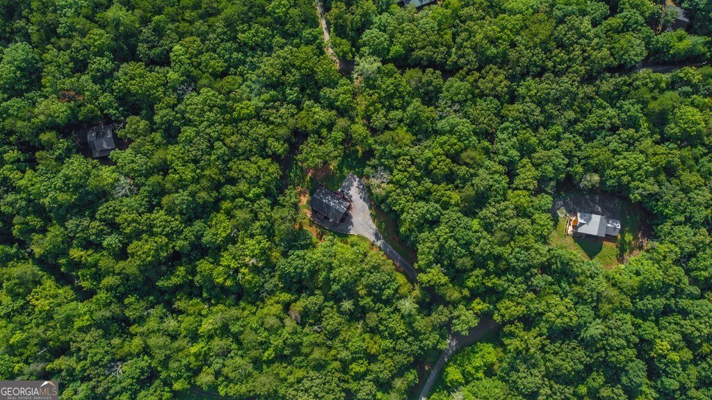 108 Red Hawk Trail Ellijay - 29