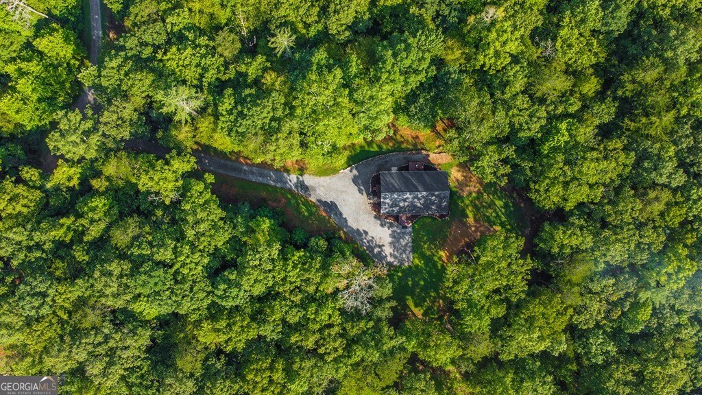 108 Red Hawk Trail Ellijay - 43