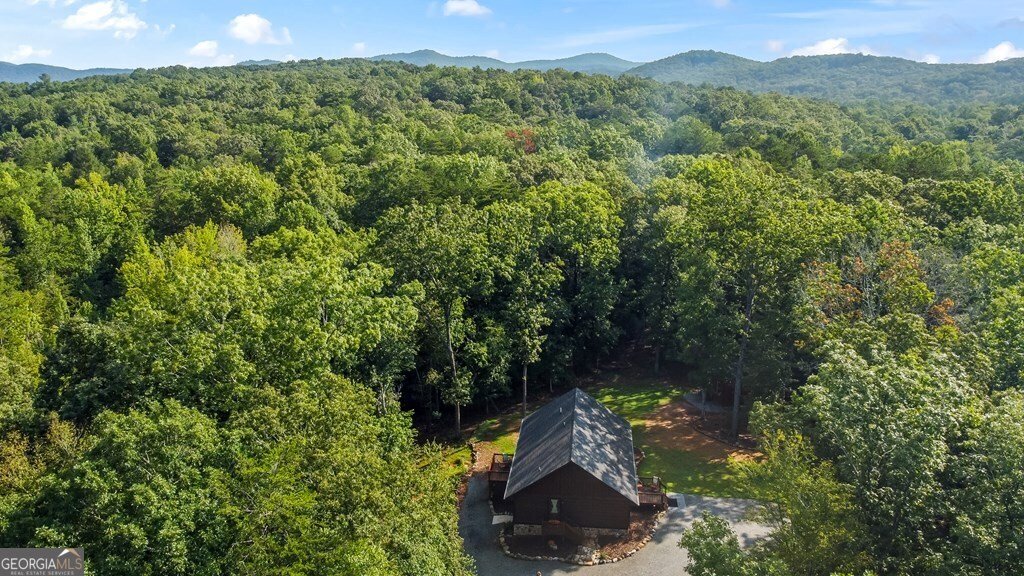 108 Red Hawk Trail Ellijay - 54