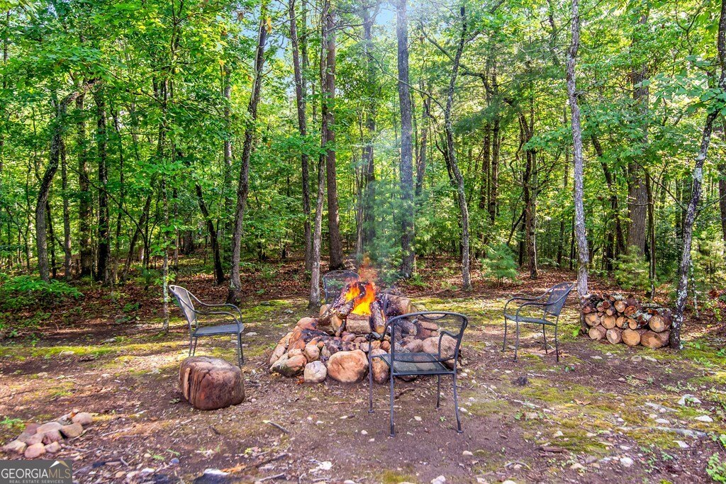 108 Red Hawk Trail Ellijay - 7