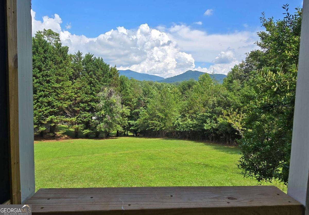557 Hidden Pines Court Hiawassee - 45