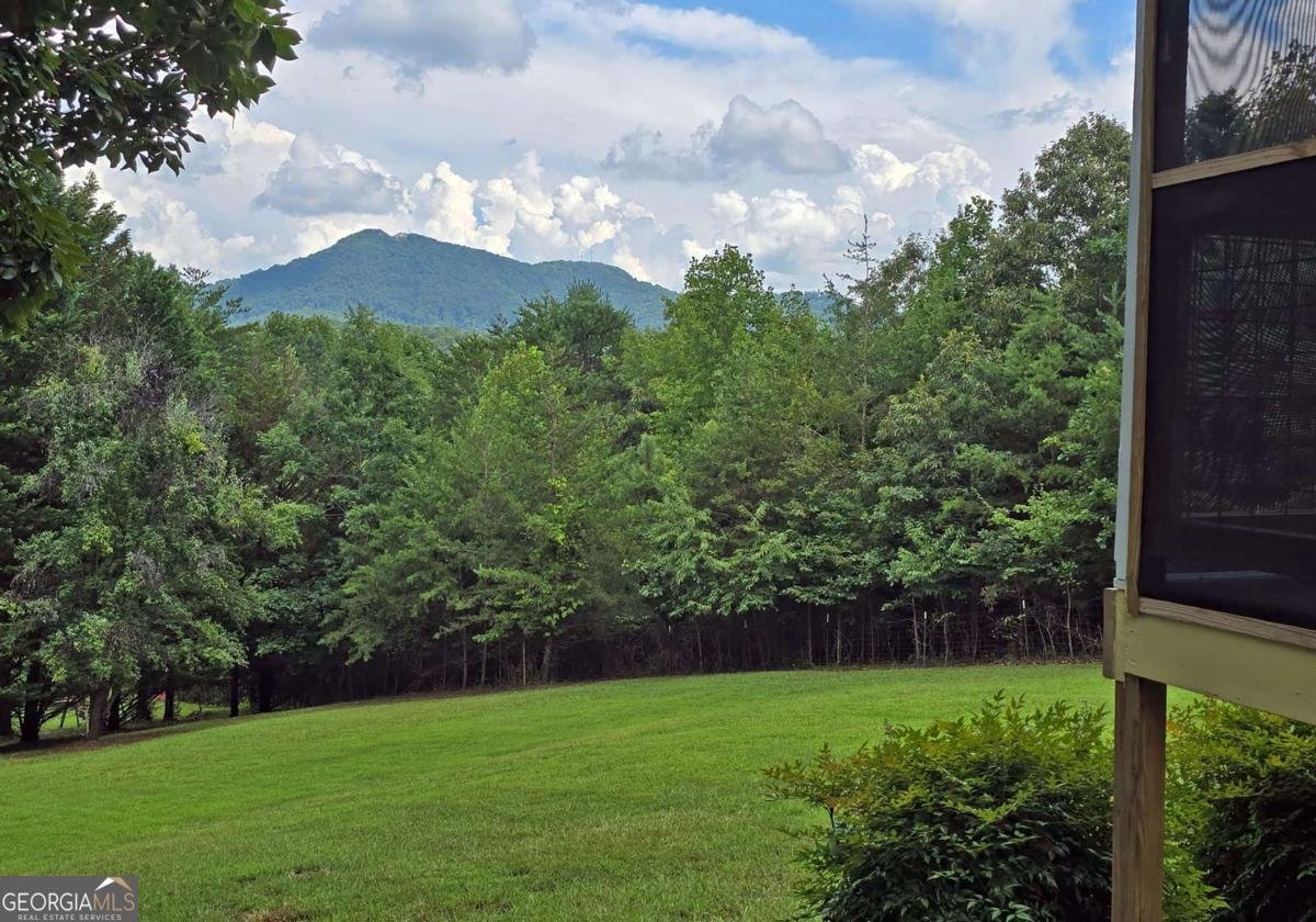 557 Hidden Pines Court Hiawassee - 49