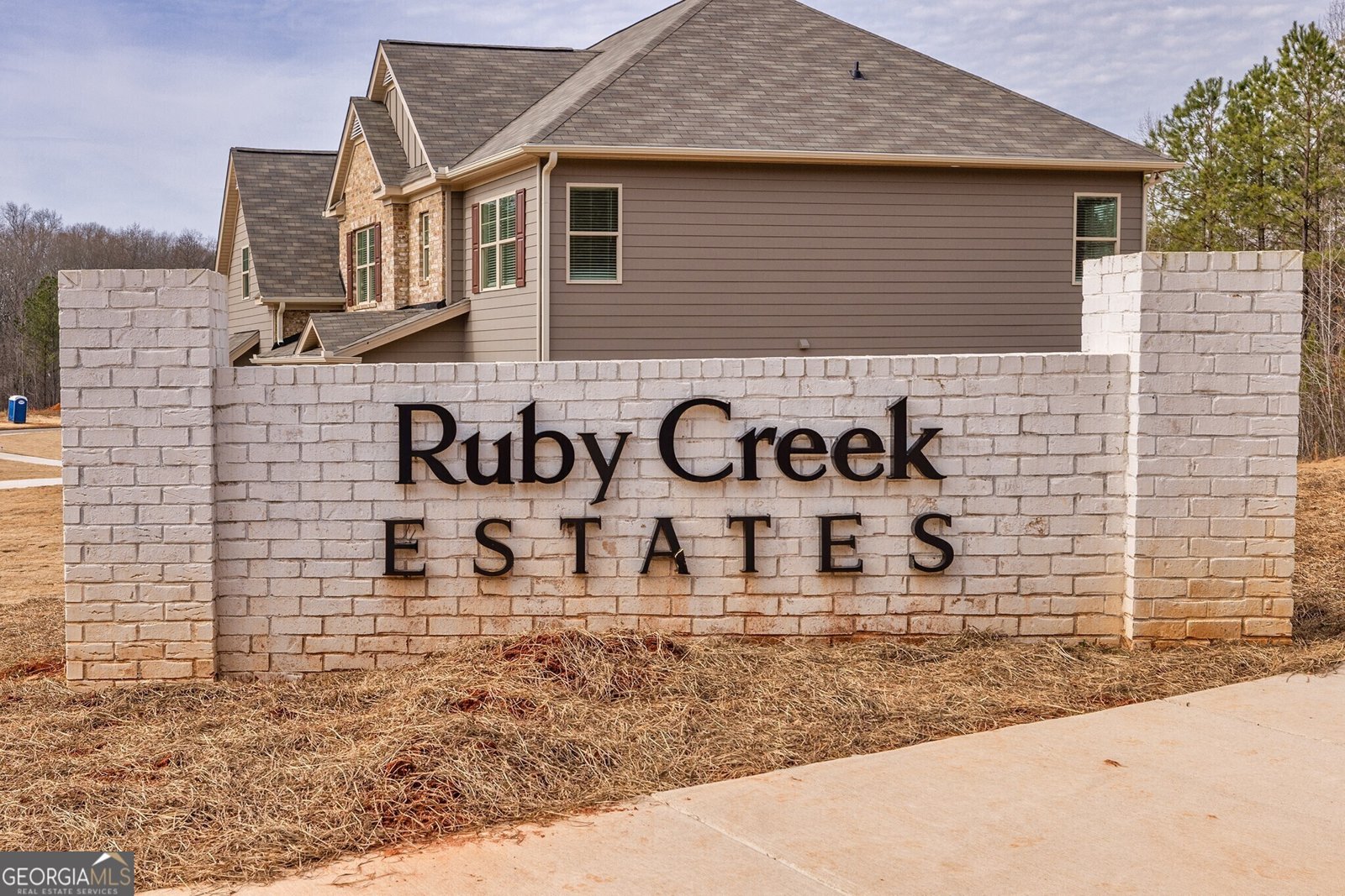 3265 Lions Ruby Lane Atlanta - 10