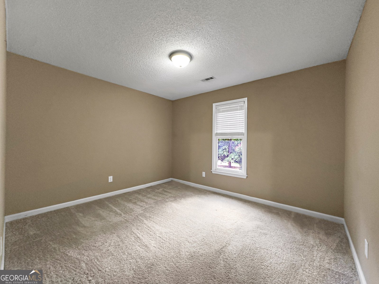 136 Crown Forest Drive McDonough - 18