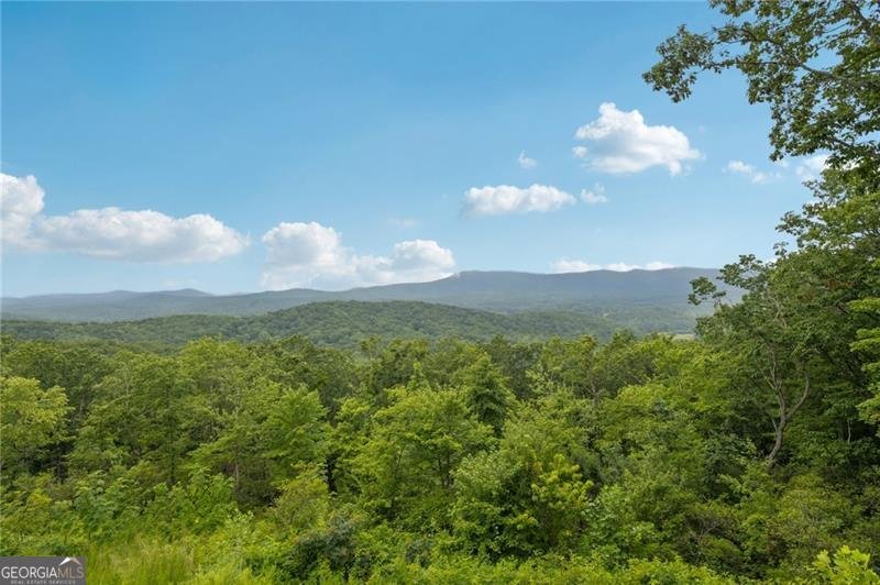 7709 Highway 19 Dahlonega - 61