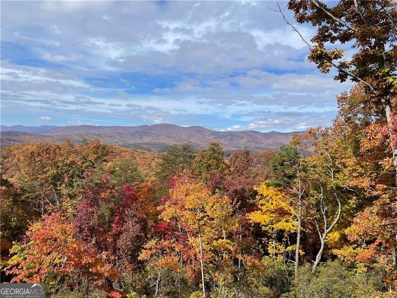 7709 Highway 19 Dahlonega - 67