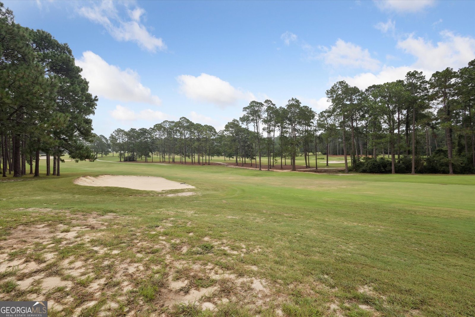 16 Forest Pine Drive Statesboro - 15
