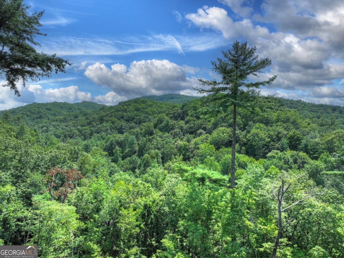 146 Hickory Nut Trail Cherry Log - 18