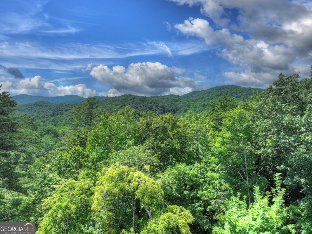 146 Hickory Nut Trail Cherry Log - 36