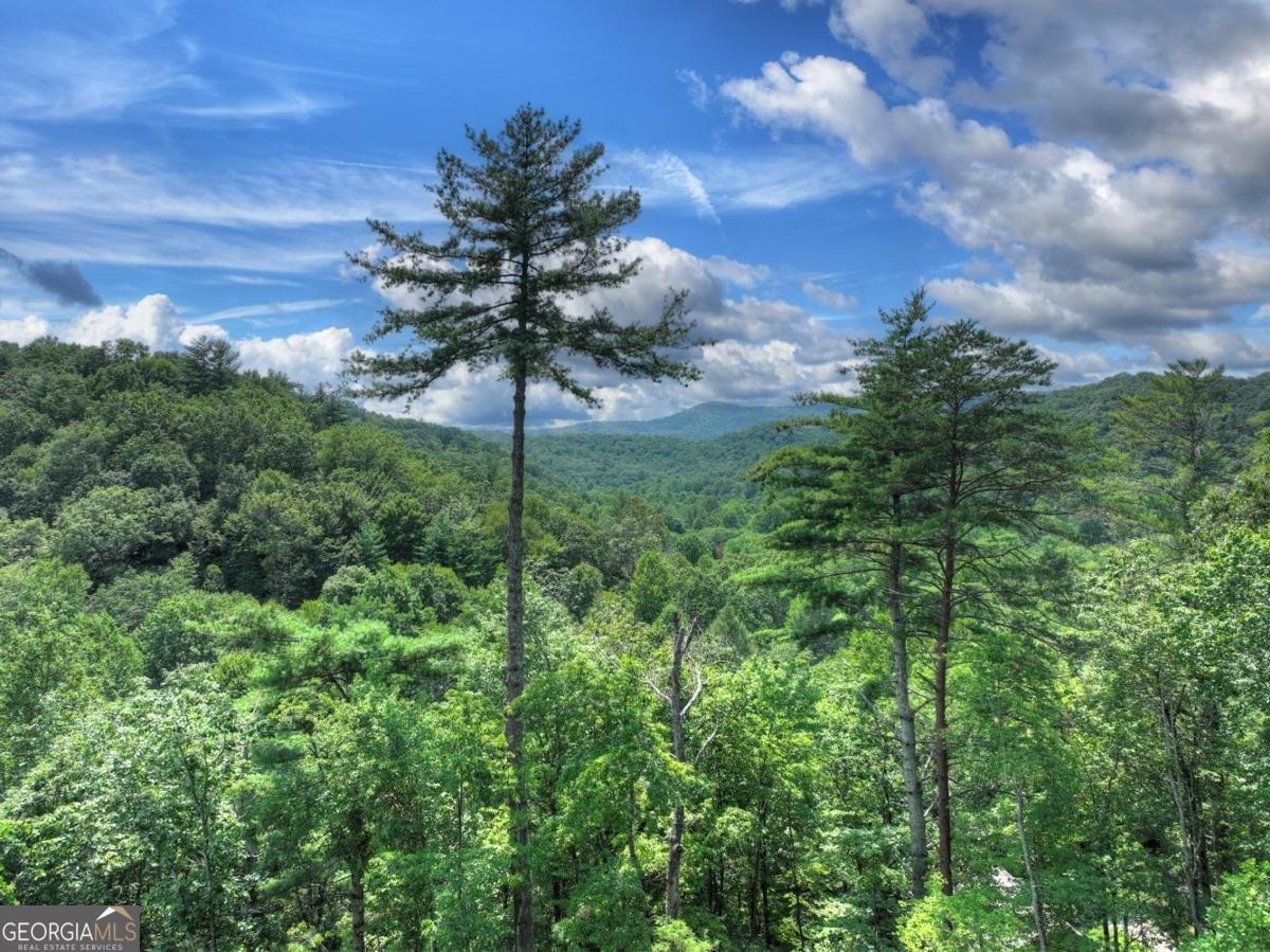 146 Hickory Nut Trail Cherry Log - 37