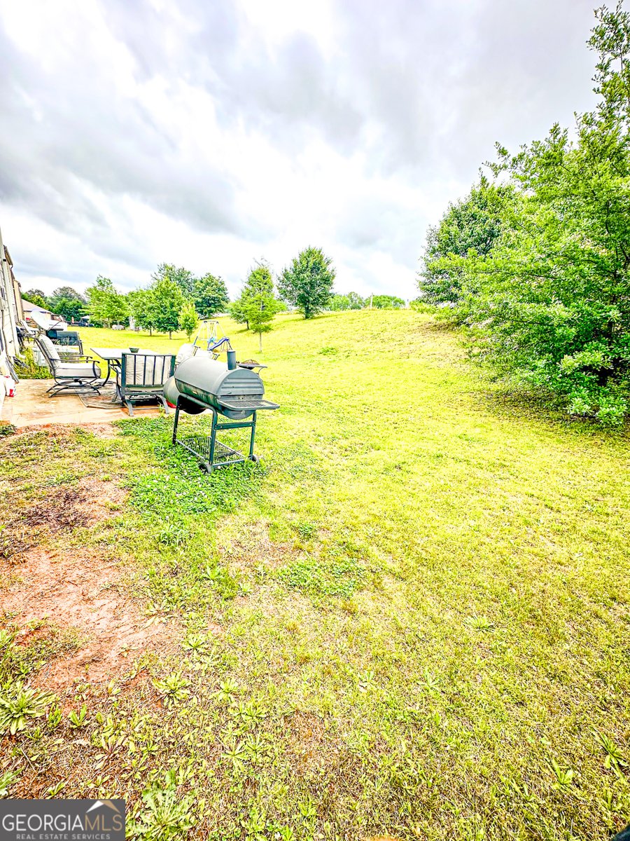 573 Emporia Loop McDonough - 29