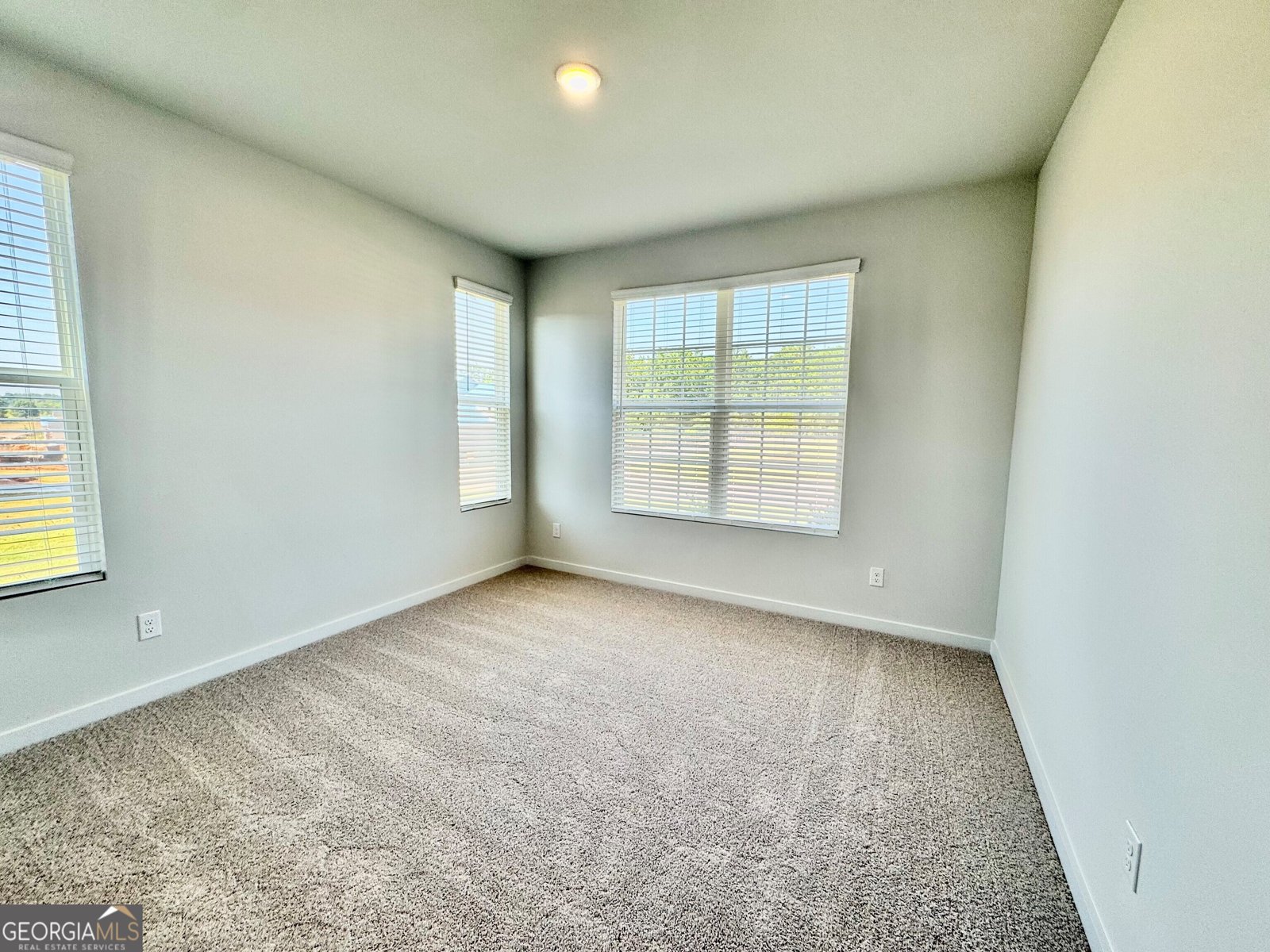 7250 Waggamon Way Dawsonville - 3
