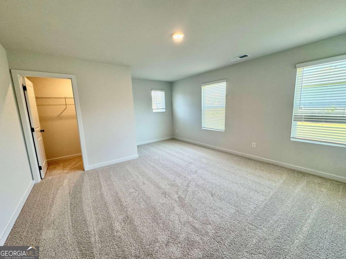 7210 Waggamon Way Dawsonville - 19