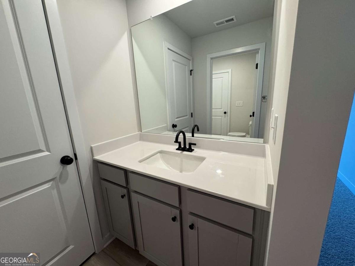 7210 Waggamon Way Dawsonville - 22