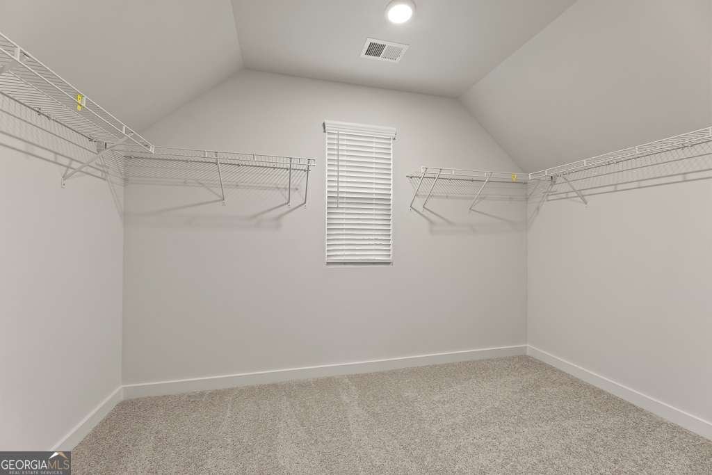 7225 Carruthers Way Dawsonville - 5