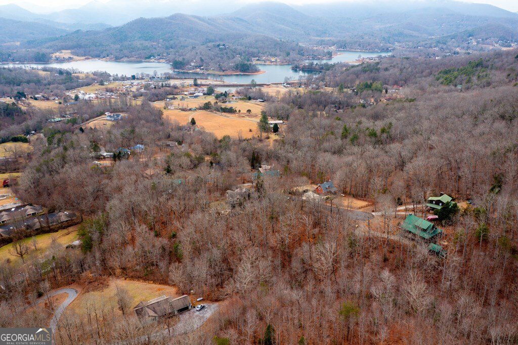 736 Gage Drive Hiawassee - 23