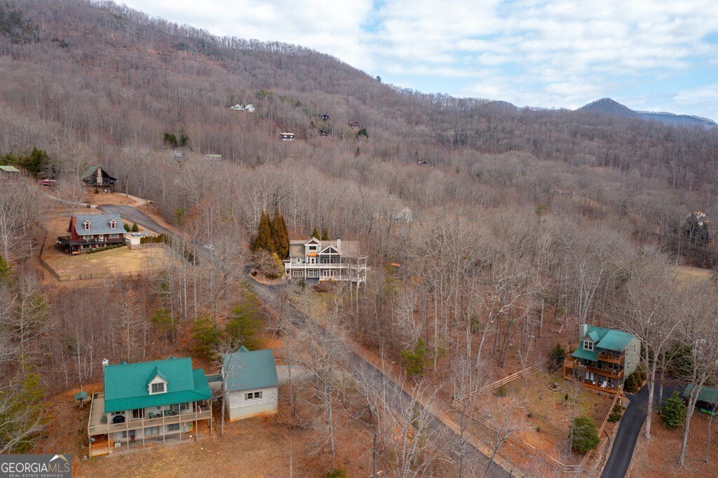 736 Gage Drive Hiawassee - 25