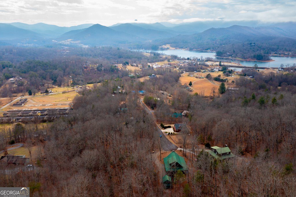 736 Gage Drive Hiawassee - 27