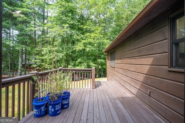 199 Hillsdale Drive Ellijay - 33