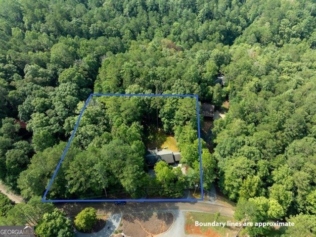 199 Hillsdale Drive Ellijay - 37