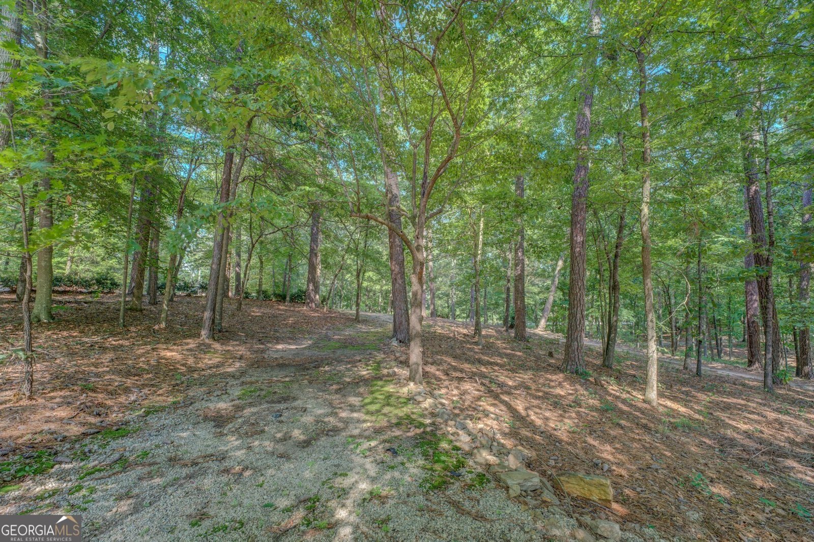 353 Crowell Road Covington - 35