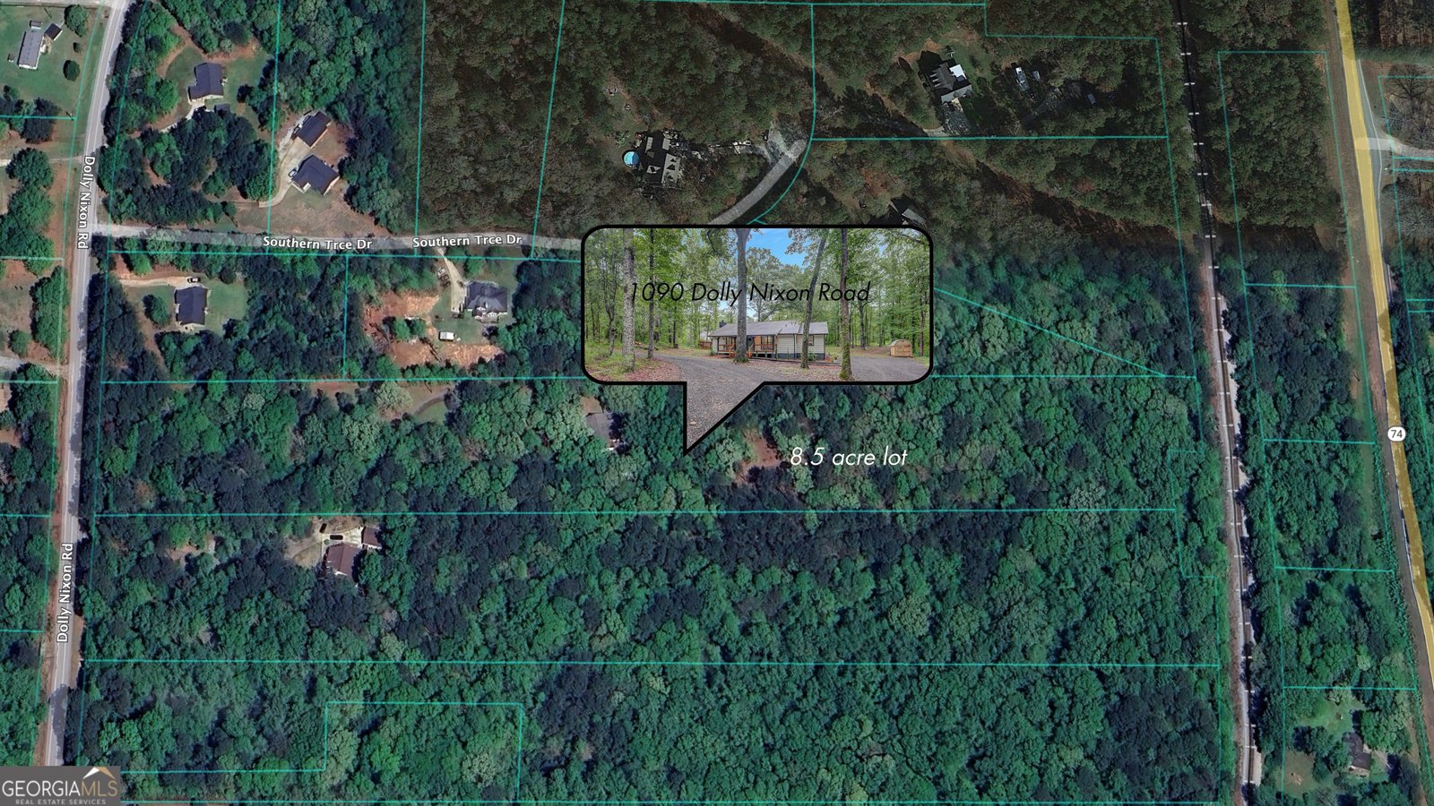 1090 Dolly Nixon Road Senoia - 24