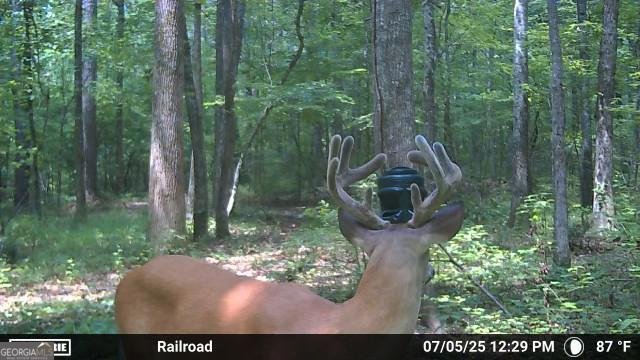 1090 Dolly Nixon Road Senoia - 34