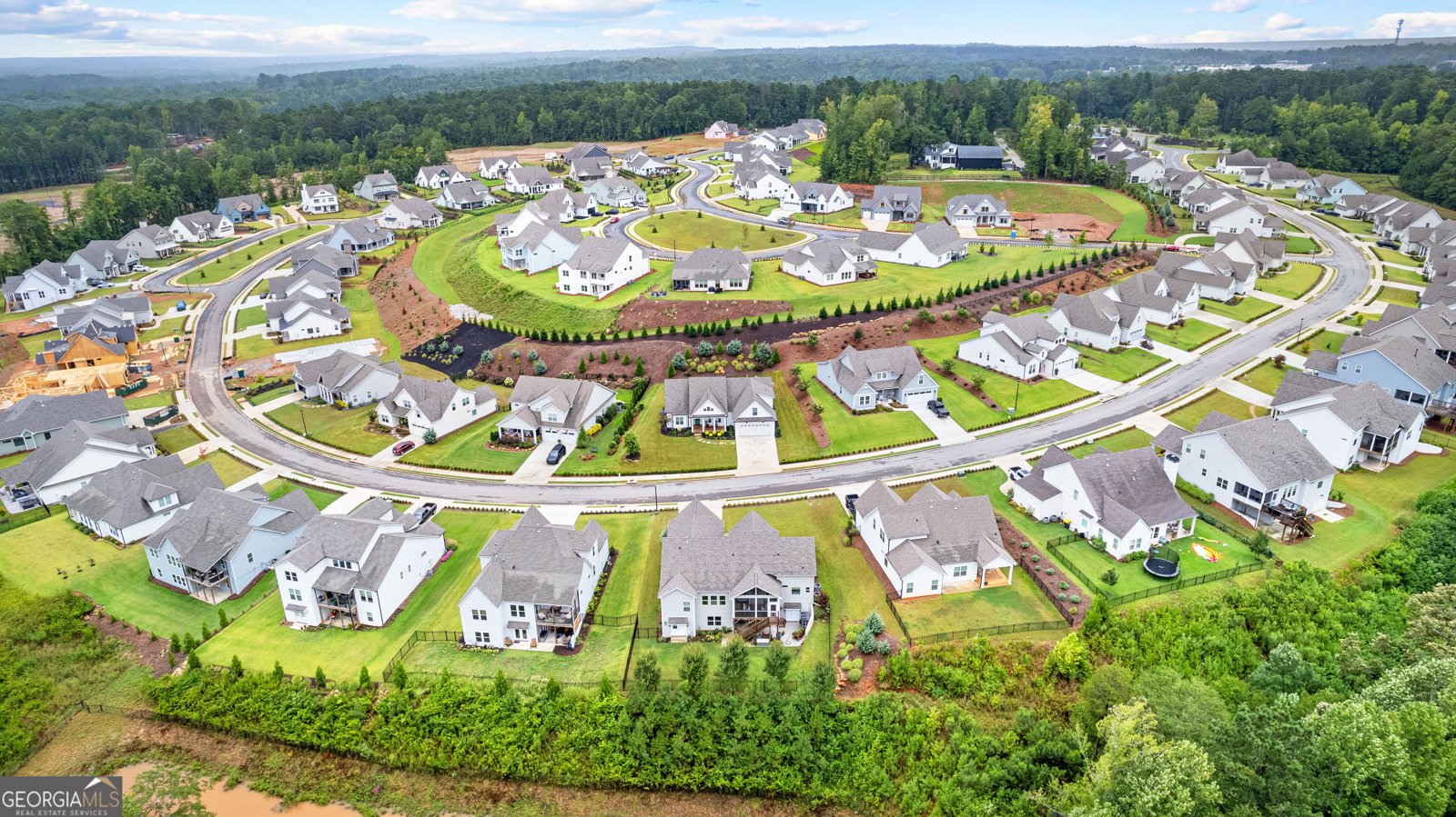 280 Werner Way Senoia - 40