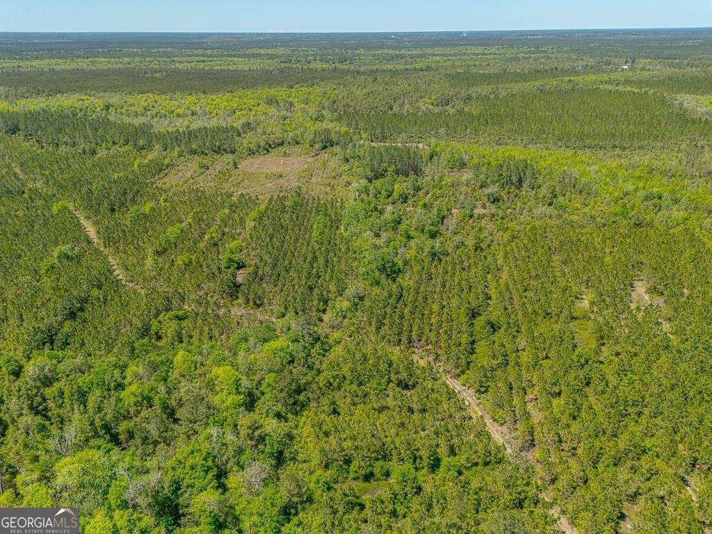 88 Minnesota Road Screven - 28