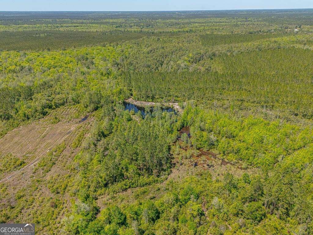 88 Minnesota Road Screven - 32