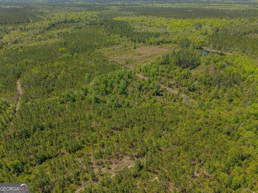 88 Minnesota Road Screven - 38