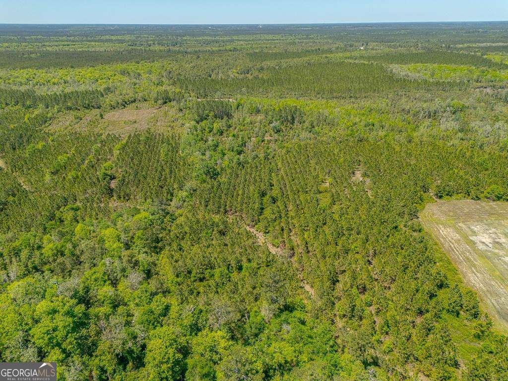 88 Minnesota Road Screven - 43