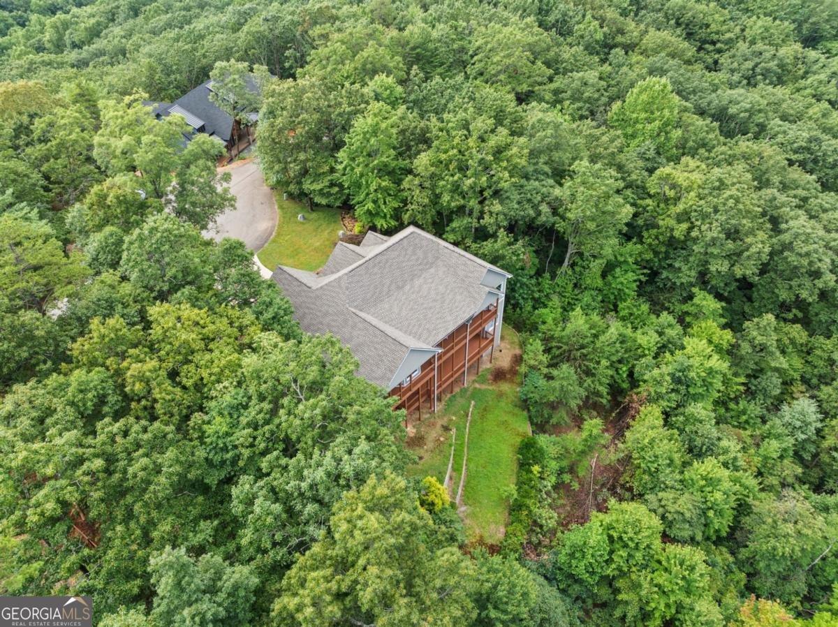 887 Oceola Drive Ellijay - 25