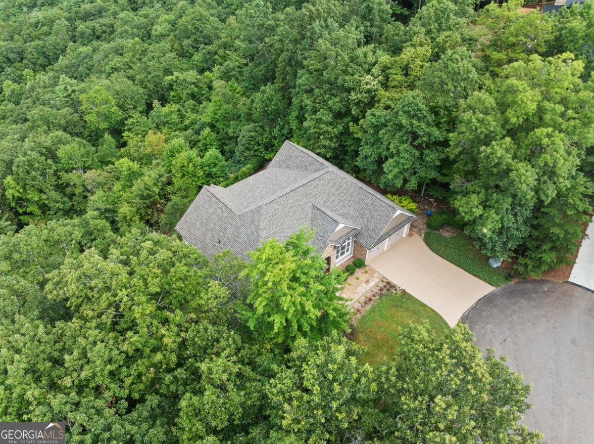 887 Oceola Drive Ellijay - 28