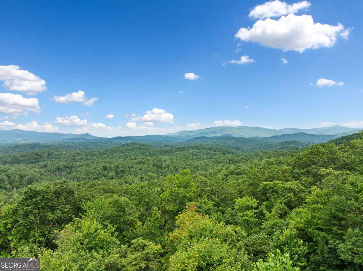 887 Oceola Drive Ellijay - 29