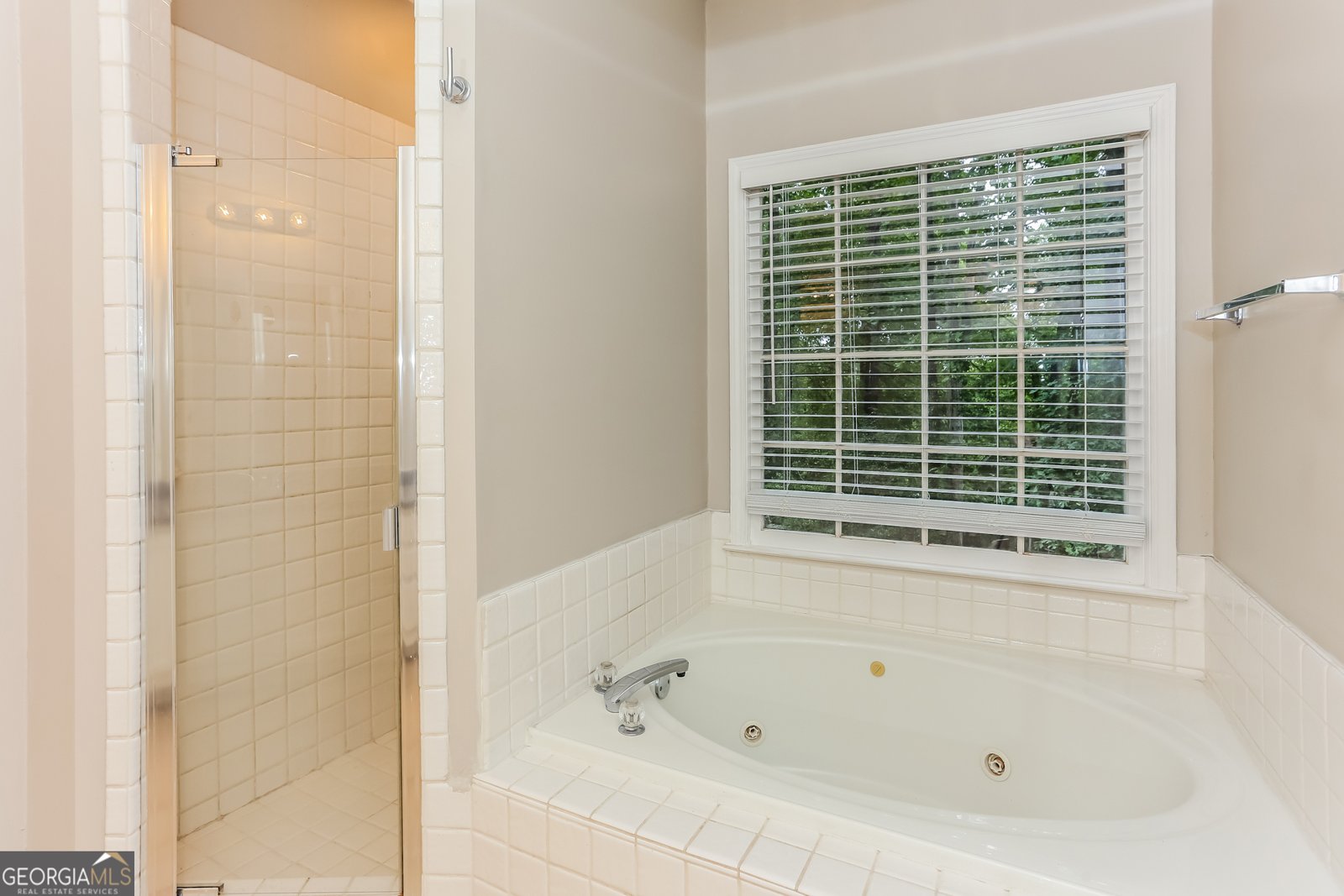 606 Redbud Lane Stockbridge - 3