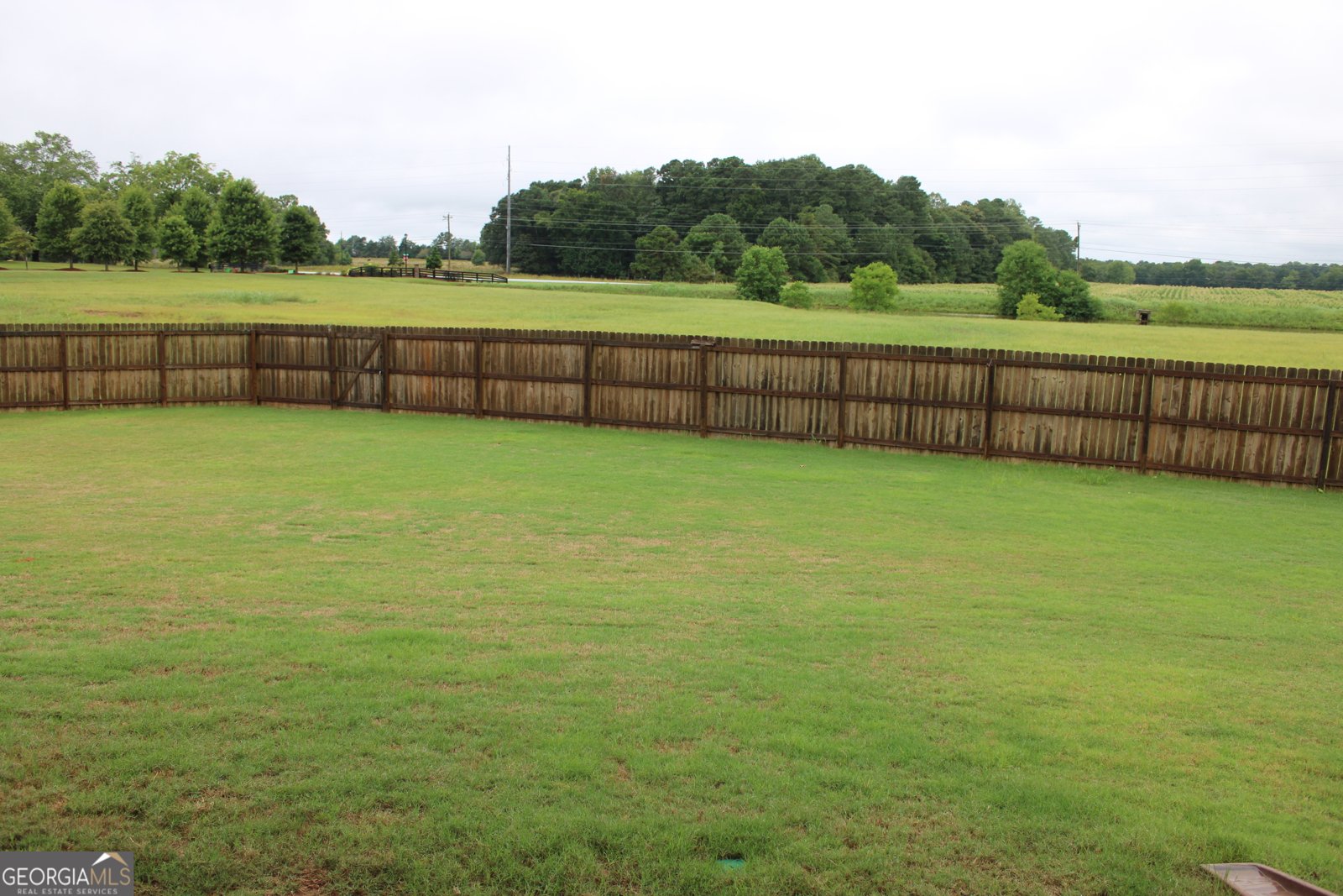 40 Owens Path Senoia - 16
