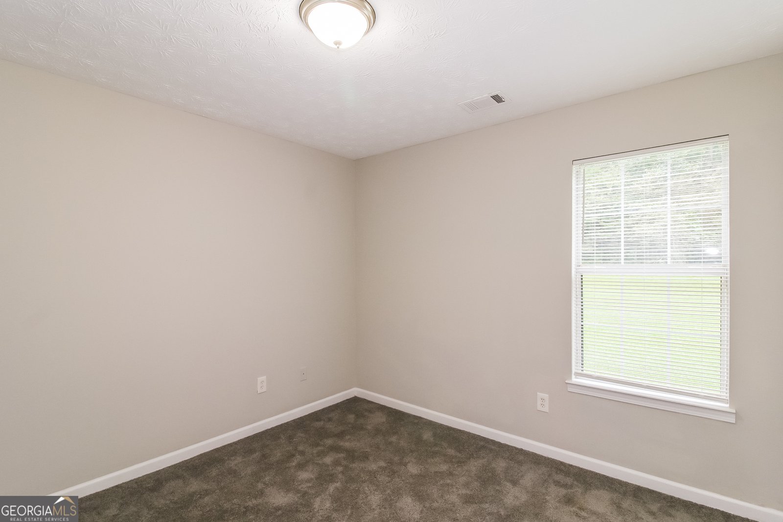 235 Mountain Way Covington - 16