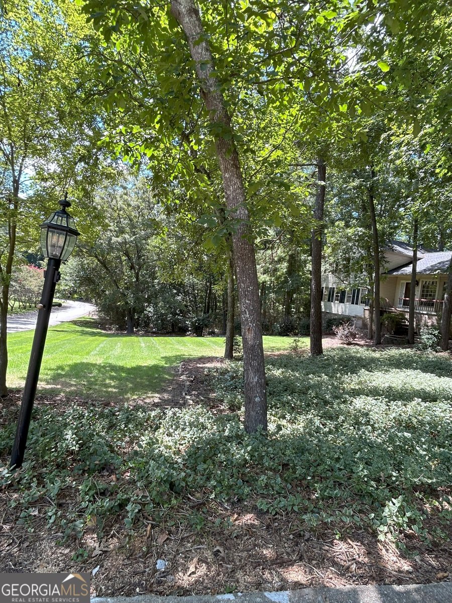 2477 Laurel Ridge Place Conyers - 3