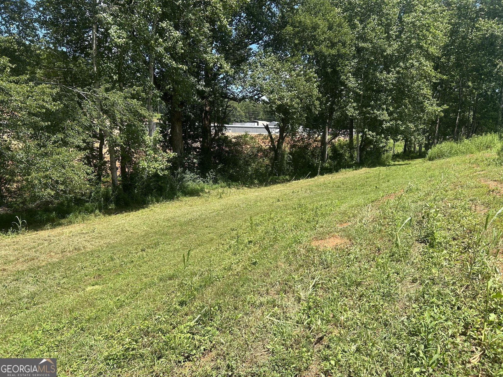 4039 Highway 19 Dahlonega - 26