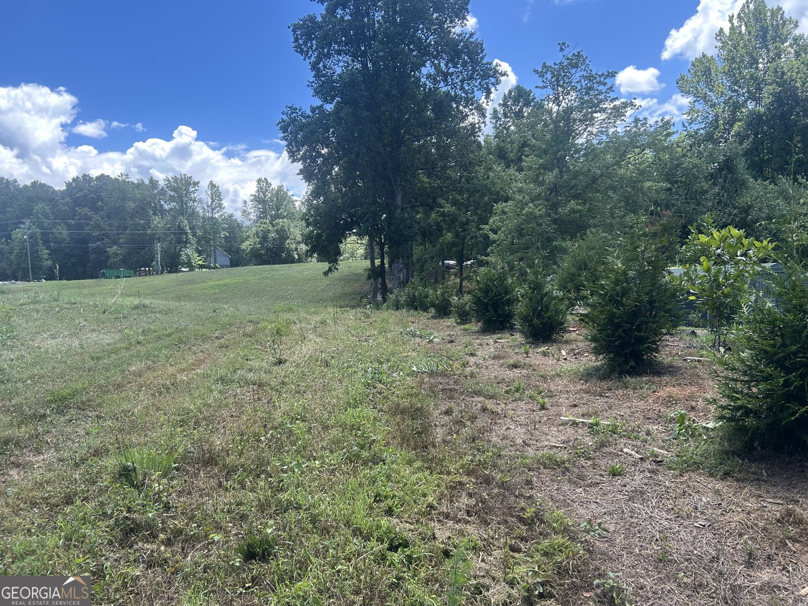 4039 Highway 19 Dahlonega - 29