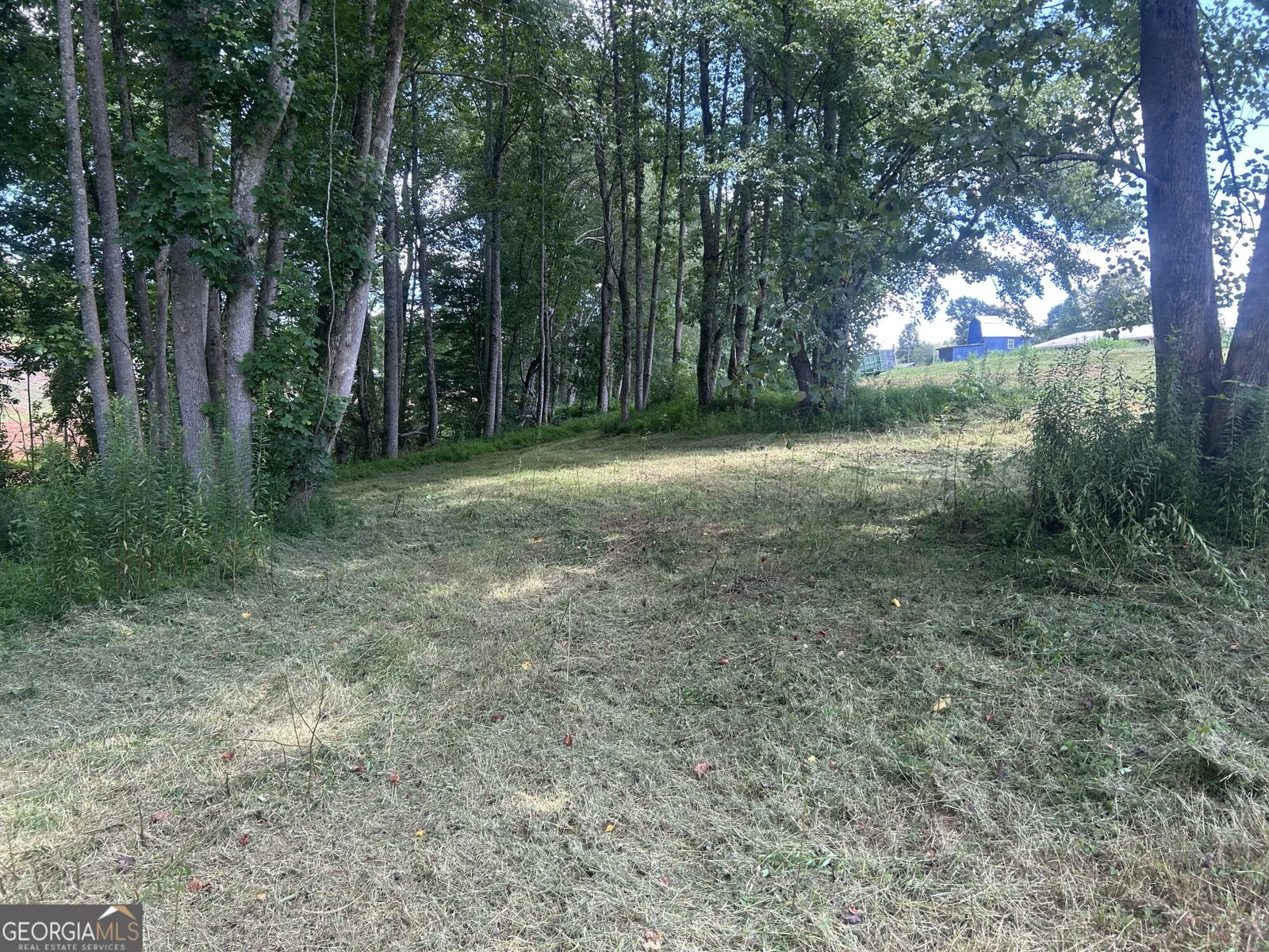 4039 Highway 19 Dahlonega - 31