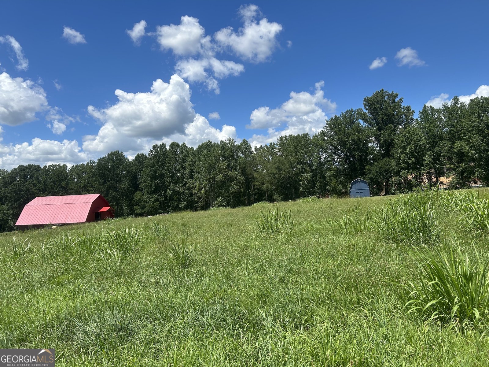 4039 Highway 19 Dahlonega - 51