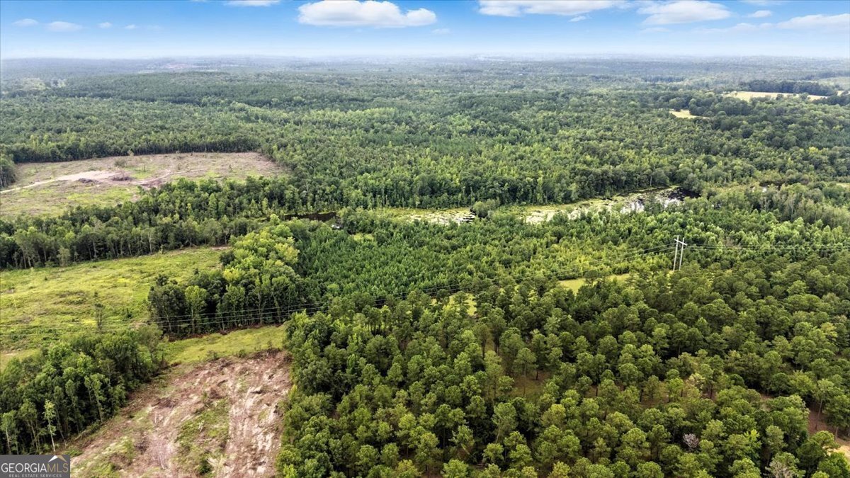 955 Anna Poole Road Sparta - 65