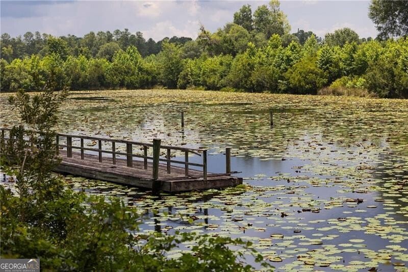 1300 Retreat Road Riceboro - 58